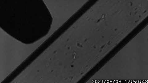 Microbubble cavitation of Sonazoid microbubbles at 1.1 MHz and 50 mVpp