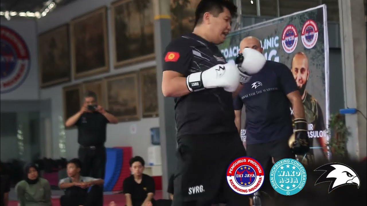 Кикбоксинг point Fighting