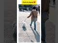 Park in Japan