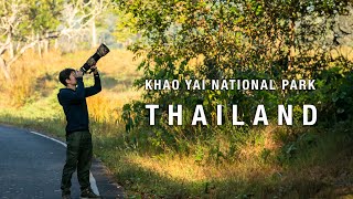 WILDLIFE PHOTOGRAPHY in Thailand  |  KHAO YAI NATIONAL PARK