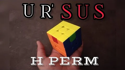 POV: You Use A SUS Algorithm