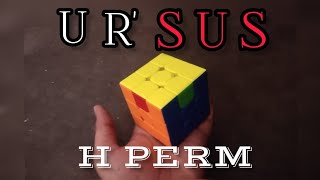 POV: You Use A SUS Algorithm