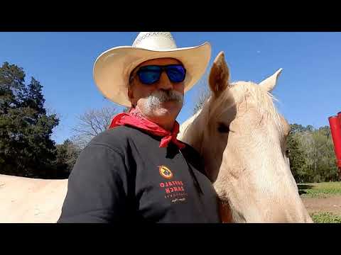 cowboy Greg, shout out to  Sidekick Jackie's Wheatmore middle school class.