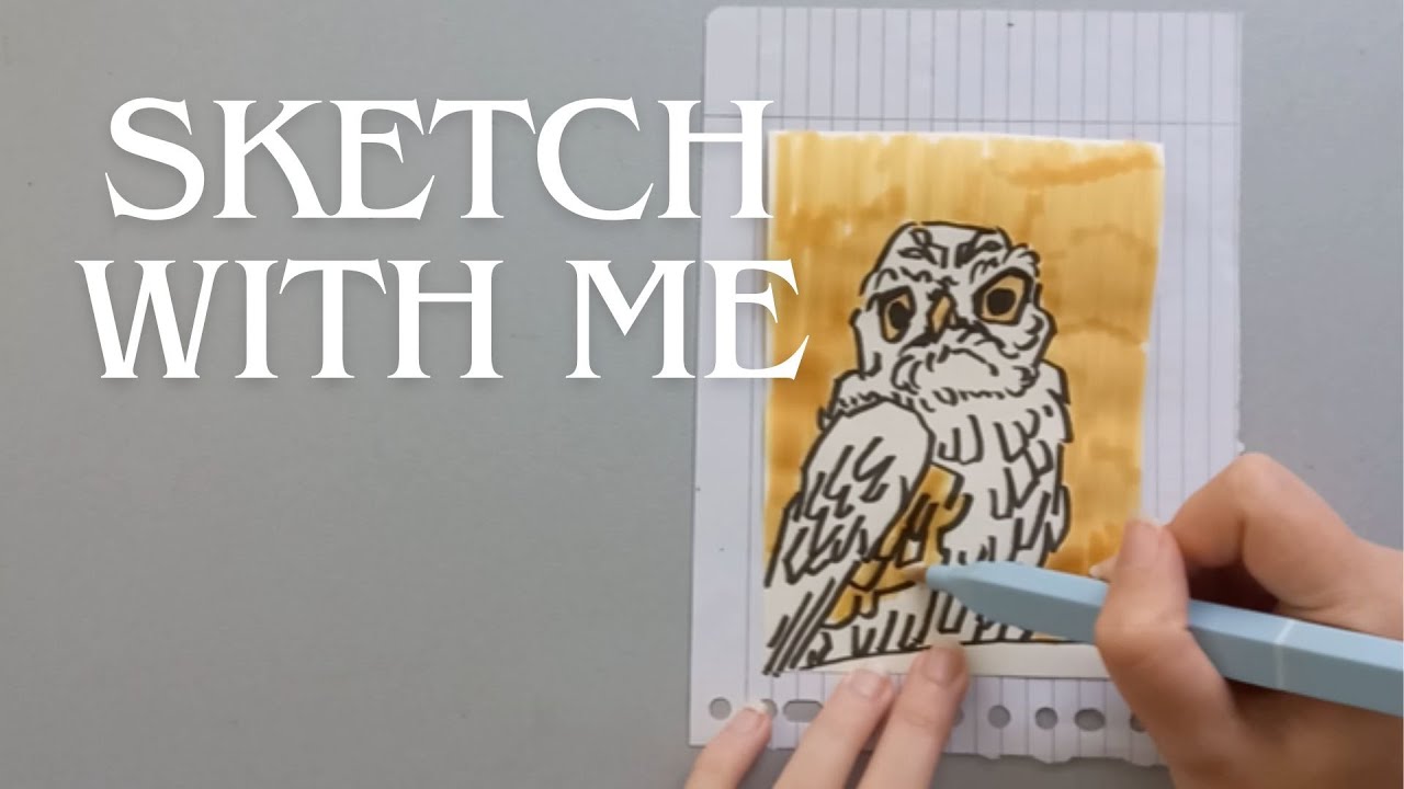 Animal Gesture Drawing #4 - Owl (sketch with me) 12 x 5 min poses