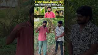5 లేయర్ విధానంతో మూడు లక్షల సంపాదించవచ్చు అంటున్న రైతు👳🏽#vikramfarmer #telugufarmers #vikramvoora