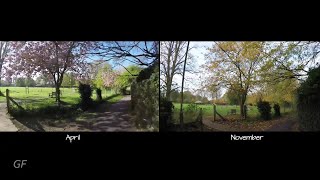Wendover circular route: spring and autumn split screen