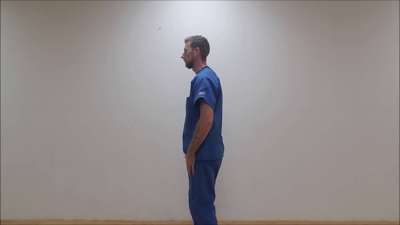 Medical Qigong: Kidney - Monkey