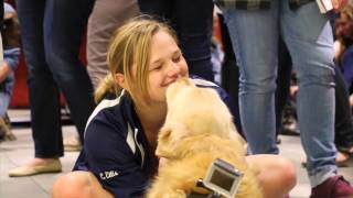 Zoey Cam - Virginia Tech