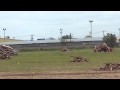 Debris Piles as I was leaving my first Site Moore, Oklahoma