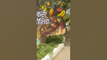 #machineservice #technology #automation #mechanism #solidworks #mechanical #solidworks