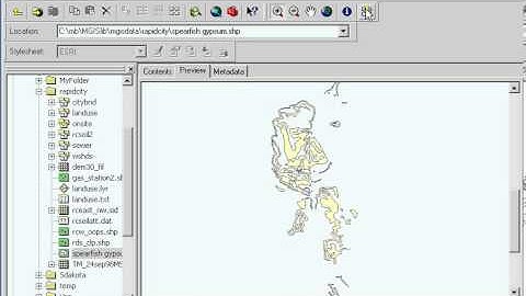 Mastering ArcGIS GIS Data 77