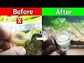 How to clean co2 diffuser beginner mode  lushaqua