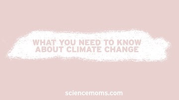 The Bottom Line on Climate Change: What You Need to Know in 15 Seconds