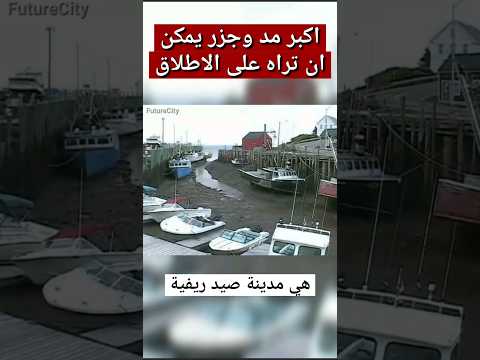 أكبر مد وجزر يمكن أن تراه على الإطلاق