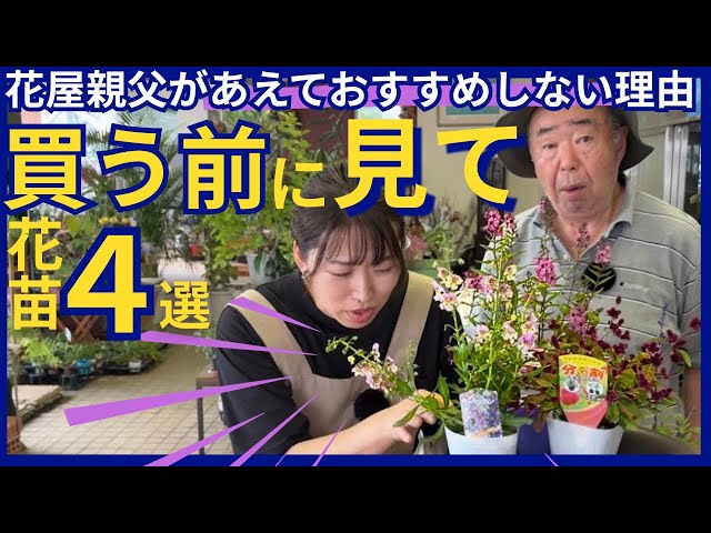 子供お花 SR Read Before You Buy] 4 Flower Seedlings That a Florist Dad Wouldn
