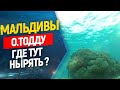 ✈️⛵️Что будет с вами если вы займетесь фридайвингом на Мальдивах ?