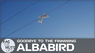 Goodbye Finnwing Albabird & Chit Chat at the Desk