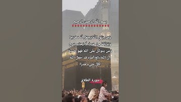 #القرآن_الكريم #لايك #qurankareem #تلاوة_خاشعة #تلاوة_مؤثرة #اكسبلور #تيك_توك #المصحف #quran