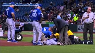Blue Jays vs Rays  JA Happ Gets Hit In Head.