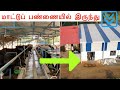 Dairy processing industry from dairy farm | Successful dairy business in Tamilnadu