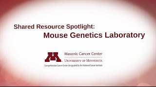 Shared Resource Spotlights - Mouse Genetics Laboratory