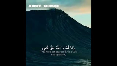 سورة الزمر تلاوه خاشعه بصوت رائع#حالات واتس اب