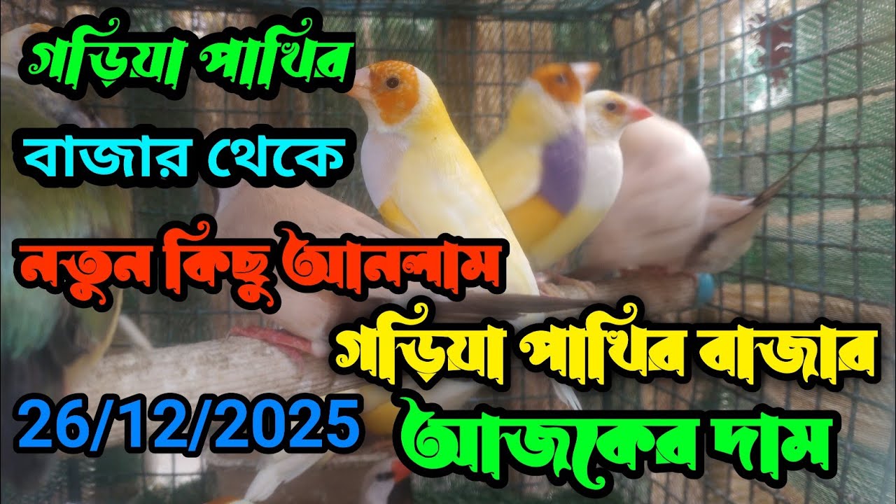 গড়িয়া পাখির বাজার থেকে নতুন অতিথি আনলাম।। গড়িয়া পাখির বাজার আজকের দাম 26/12/2025