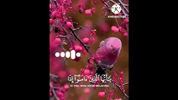 القارئ: رعد الكردي //حالات واتس اب دينية//حالات واتس اب يوم الجمعه //بدون حقوق