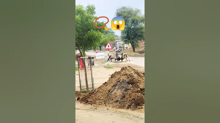 😱📿🙏🔱 #song #art #funny #trending #vlog #love @BhajanMarg @MrBeast