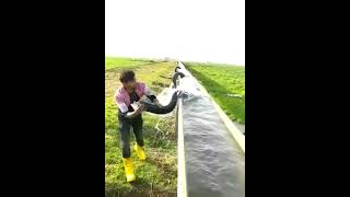 Water Magic! 💧 Siphon Tubes in Irrigation Systems Explained!