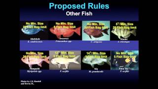 Vignette de la vidéo "2013 DAR proposed fisheries rules for Maui / Lanai :  Part 4"