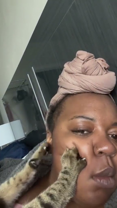 Cat Biscuits on Face?! 🐾 #cats #biscuits #catlife