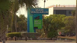 Miami Seaquarium stays open on day its lease with Miami-Dade ends