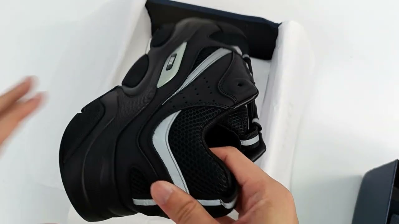 Dior B22 Black Silver 