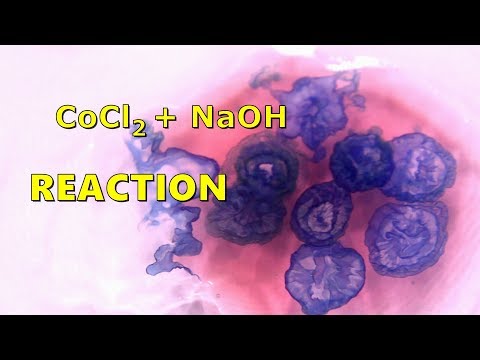 Cobalt II Chloride Reaction With Sodium Hydroxide (CoCl2 + NaOH)