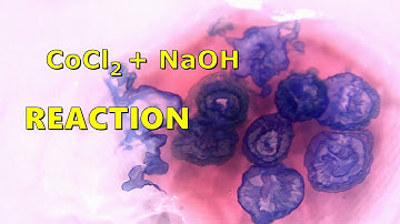 Cobalt II Chloride Reaction With Sodium Hydroxide (CoCl2 + NaOH)