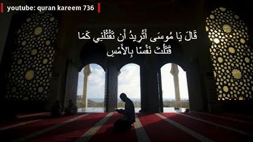 آيات من سورة القصص للقارئ ياسر الدوسري (حالات واتس اب دينية)
