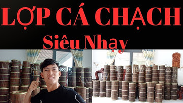 Lợp Cá Chạch - Đặt Lợp Cá Chạch Ai Đặt Cũng Dính ll Zalo 0364117809