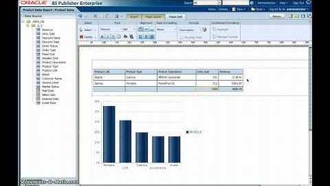 BI Publisher - How to Use Formula and Custom Column