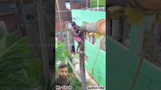 Professional Tree Cutting || Amazing Technique in Action #shortsfeed #treecutting #trending