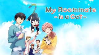 My Roommate is a Cat Opening「Creditless」