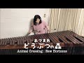【マリンバ】あつまれどうぶつの森 BGM メインテーマ Animal Crossing:New Horizons Main Theme【marimba】