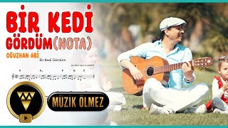 Oğuzhan Abi - Bir Kedi Gördüm (Oğuzhan Çakırefe) (Notalı Audio)