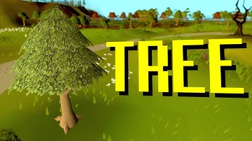 A 6 Hour Video about Woodcutting.