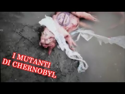 Video: Un Inquietante Cervo Mutante Ripreso In Un Video - Visualizzazione Alternativa
