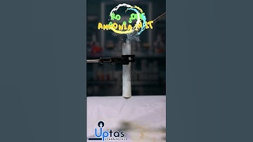 Conc nitric acid vs ammonia