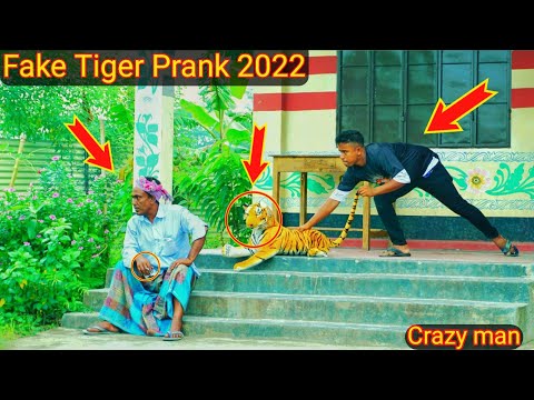 Fake Tiger Prank