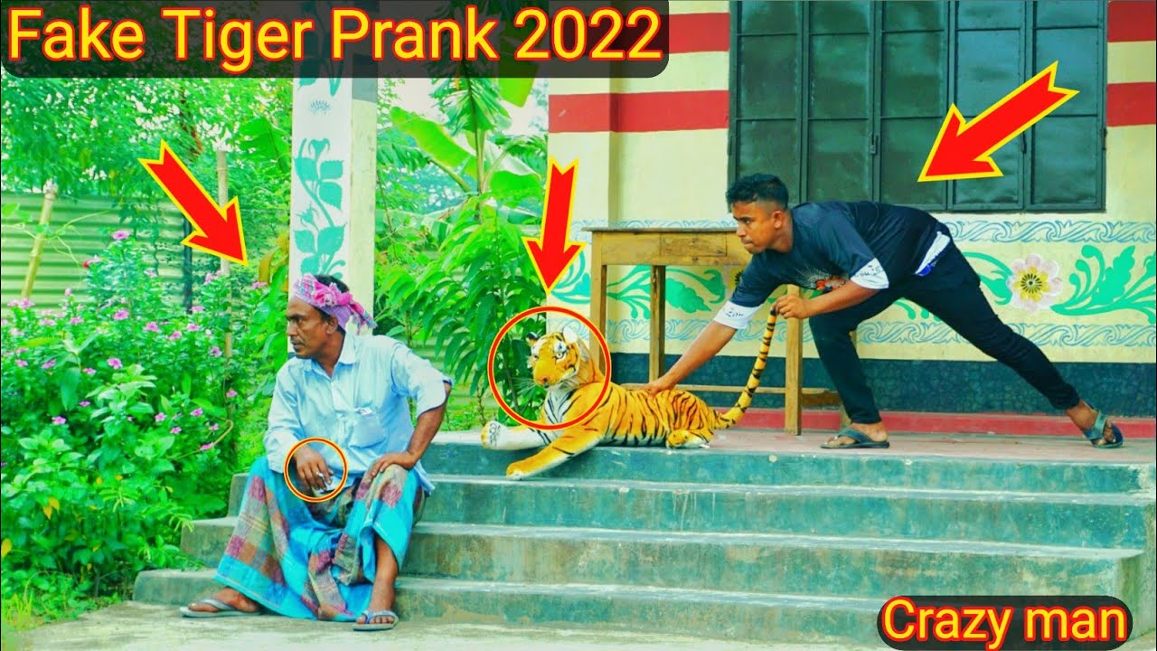 Fake Tiger Prank With Grandpa !! Fake Tiger vs Public Reaction Prank Video By | Razu prank tv