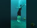 Underwater life in Bali