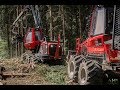 Abattage en coupe rase avec une komatsu 901 xc i forestier i komatsu  hsm i hagmann david  denis